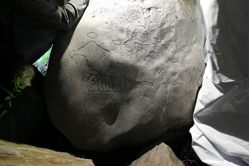 Helleristningsblokk Isnestoften