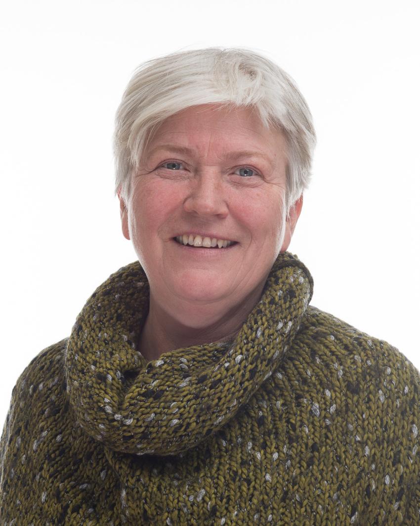 Bilde av Husjord, Line