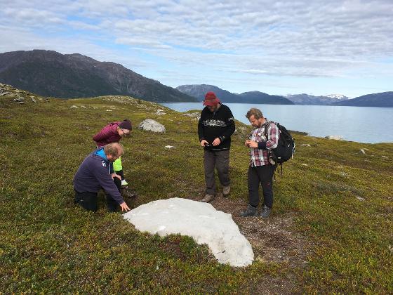 Inspecting the rock art boulder prior to excavation.