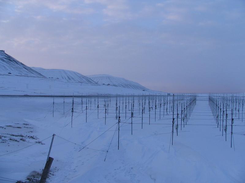 IMG_0375.jpg antennefelt vinter