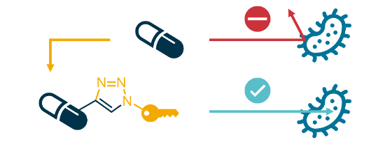 Conjugation of antibiotics can lead to new derivatives with improved bacterial uptake.