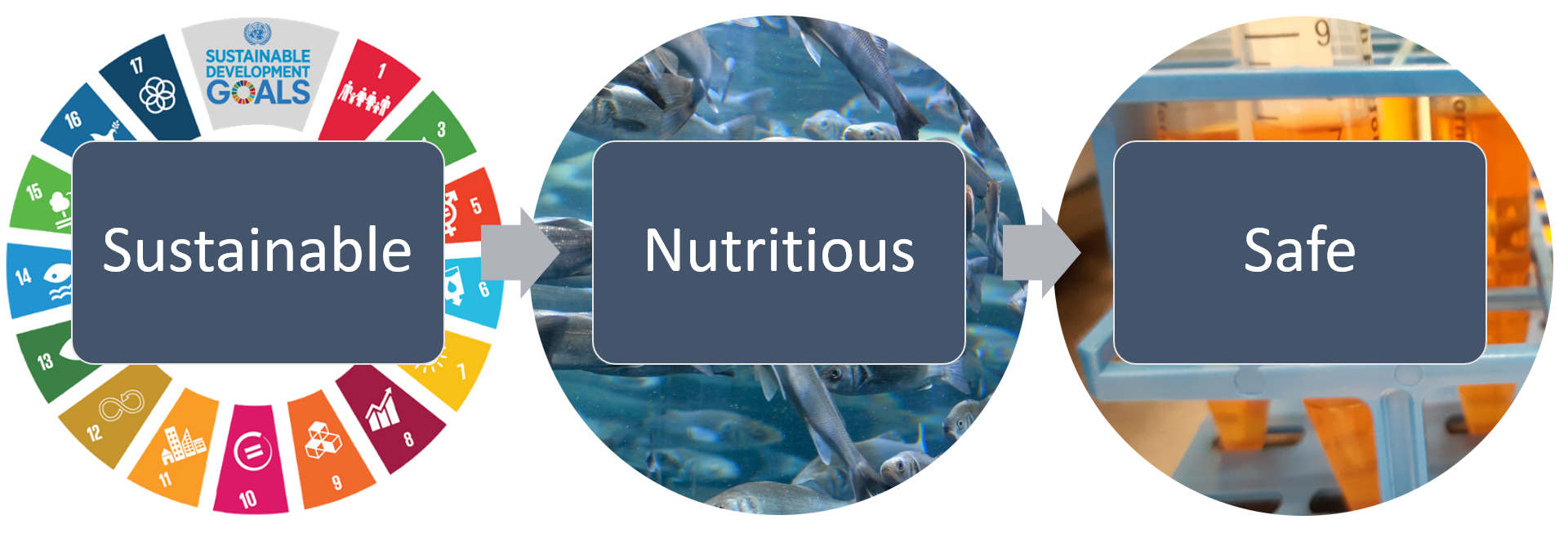 Sustainability picture.png