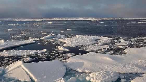 Arctic ice