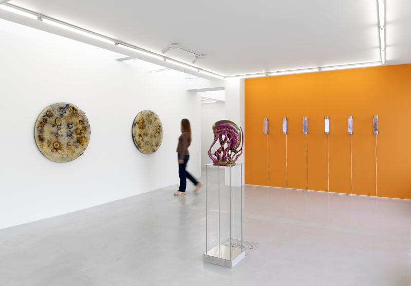 STH-Extremophilia-installation-GC-2023-13.jpg