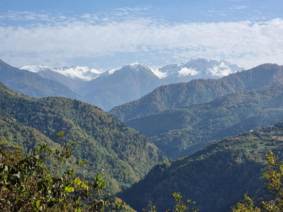 Adjara.png