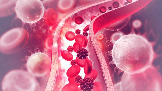Illustrasjonsbilde for Cerebral blodstrøm og metabolisme / Cerebral blood flow and metabolism 
