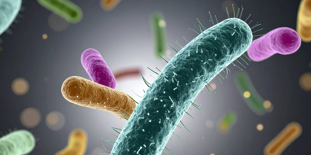 Microbiome