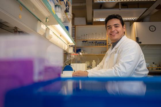 Illustrasjonsbilde for Disputas- Master in Applied and Commercial Biotechnology Ahmed Bargheet