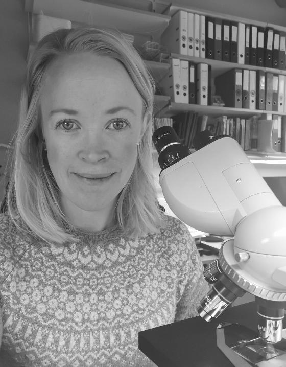 Illustrasjonsbilde for Master i bioteknologi Nora Hersoug Nedberg 