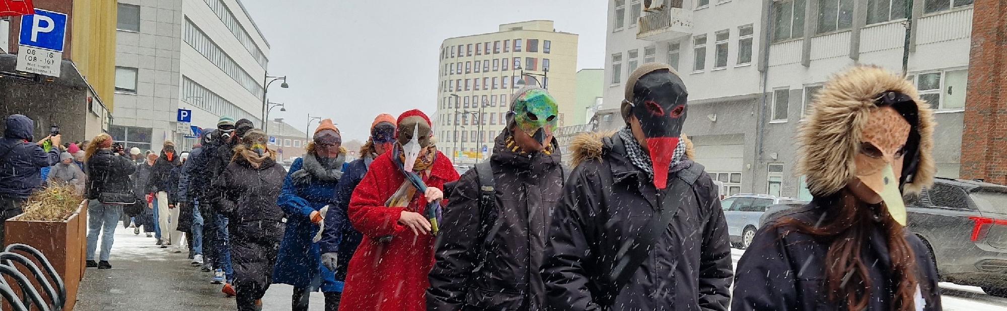 Illustrasjons-/bannerbilde for FUGLAN VEIT – sjøfuglene som varslere i naturkrisa