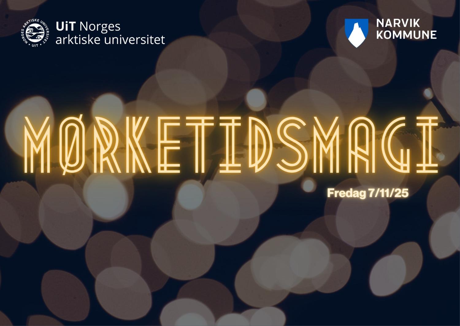 Illustrasjons-/bannerbilde for Mørketidsmagi - Drivkraft i nord
