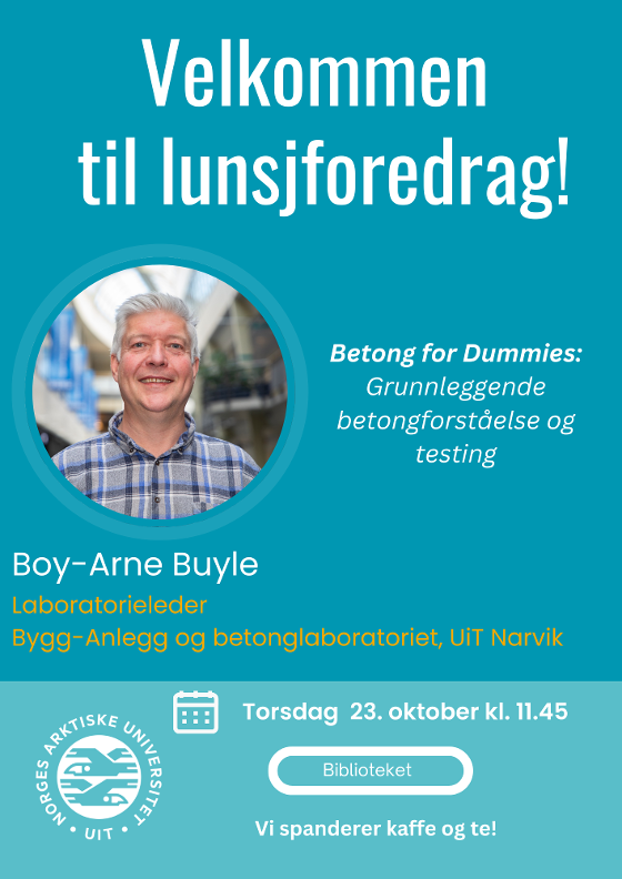 Illustrasjonsbilde for Lunsjforedrag: Betong for Dummies