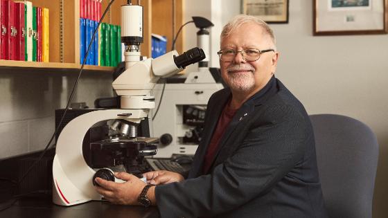 Illustrasjonsbilde for Mohn Prize Seminar 2026: Arctic environmental change