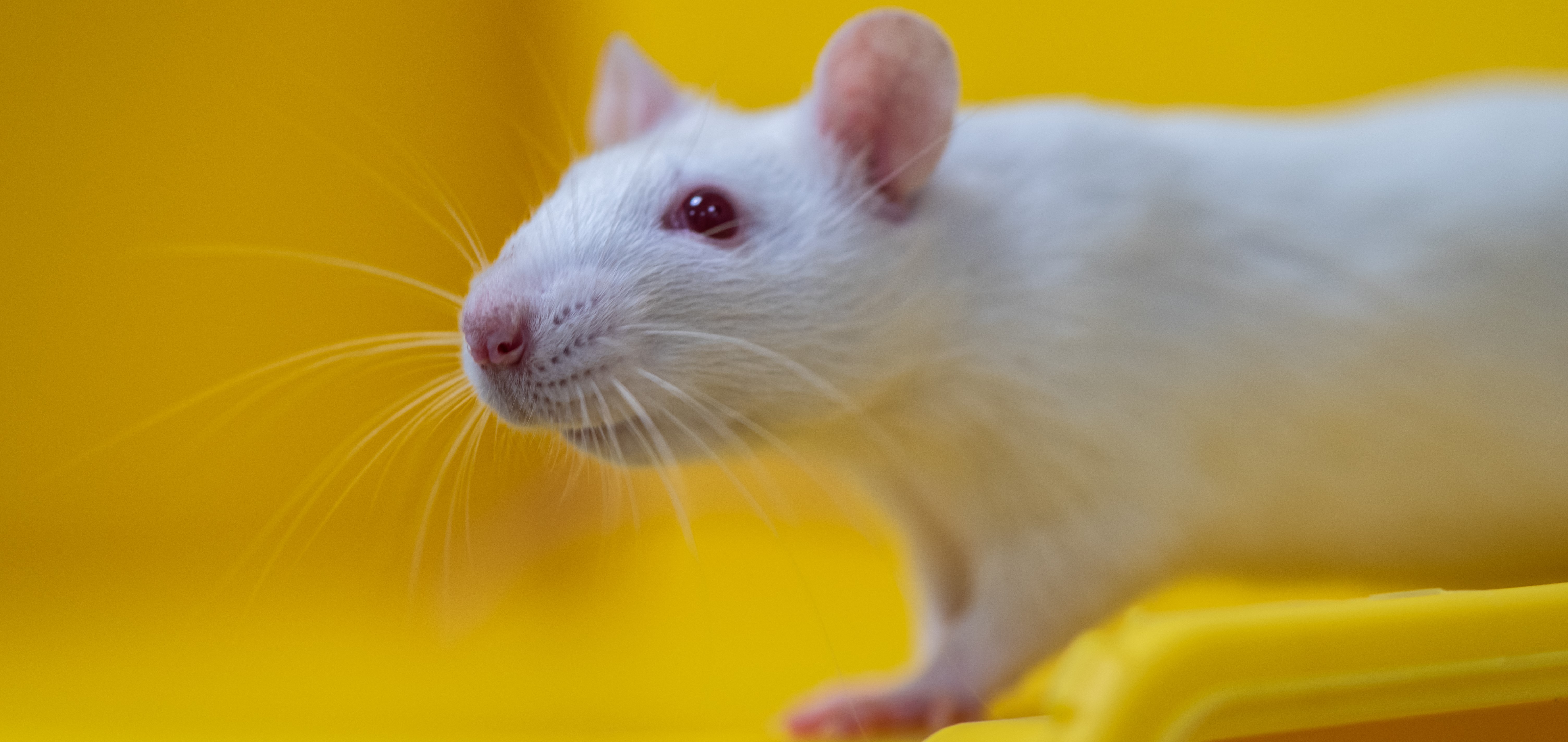 Bilde for infrastruktur