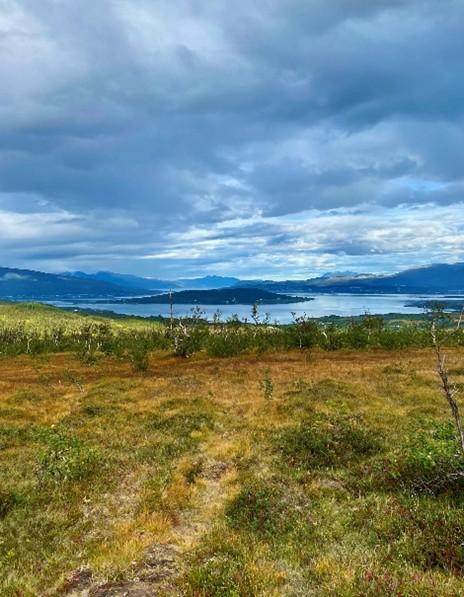 Illustrasjonsbilde for VIN&VITEN | Samisk kultur og kampen for ivaretagelse av natur: Rávdnjevággi/Finnheia - et presset landskapsrom