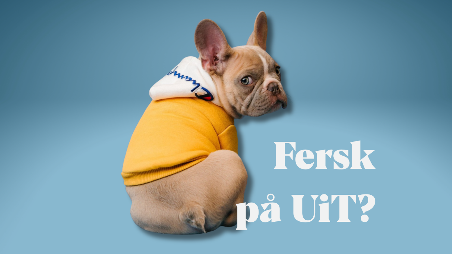 Illustrasjons-/bannerbilde for Fersk p&aring; UiT//UiT Freshman