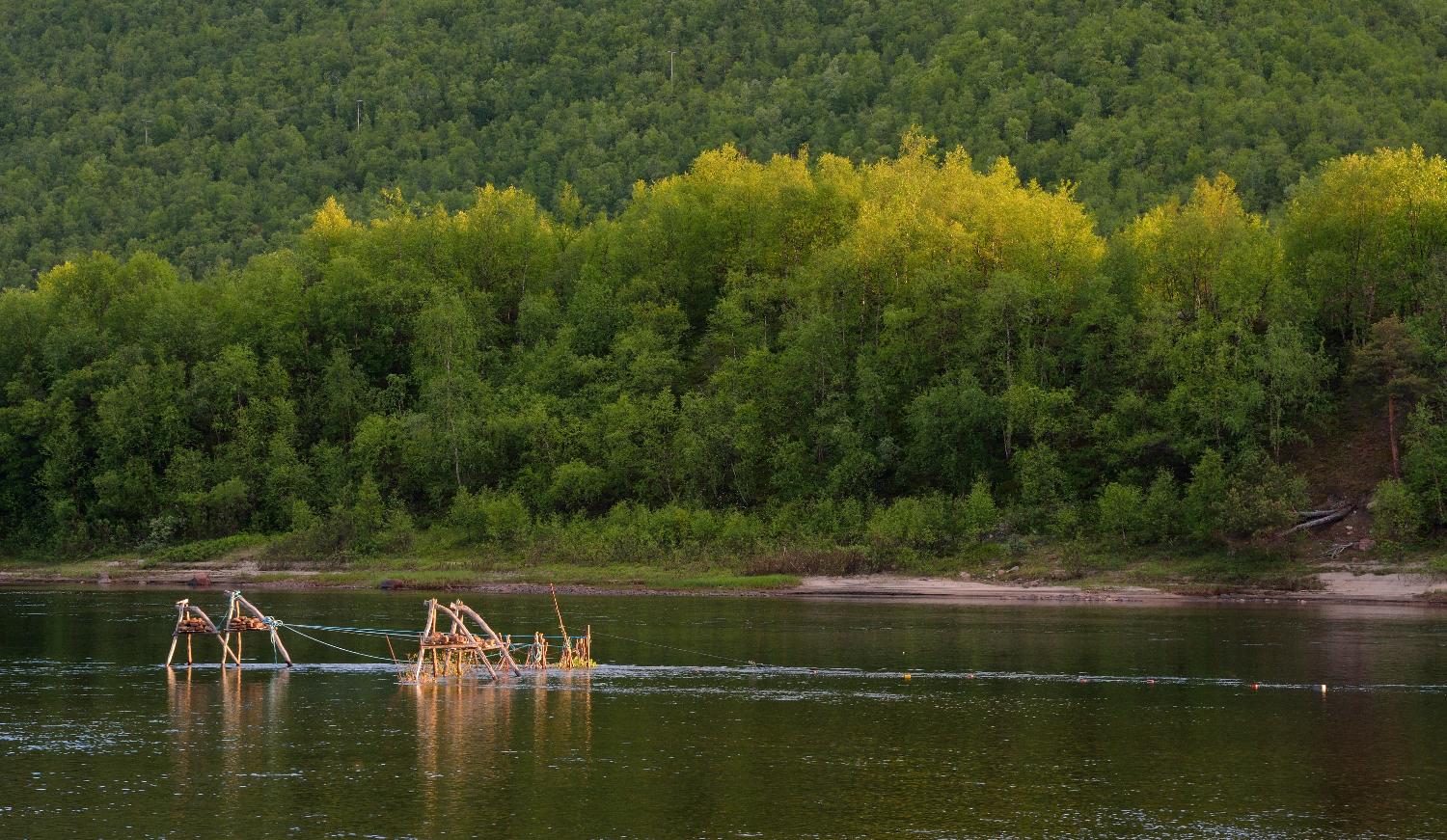 Illustrasjons-/bannerbilde for Vin&Viten | Inclusion of Sami Knowledge in Salmon Research and Governance