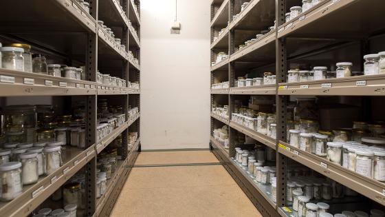 Illustrasjonsbilde for BioBanking at UiT (seminar - sign up by Feb 9)