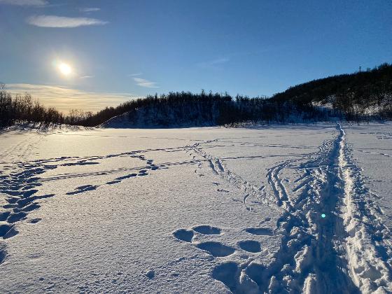 Illustrasjonsbilde for Skal naturen selges til turister? -Sosiologpils med Brynhild Granås