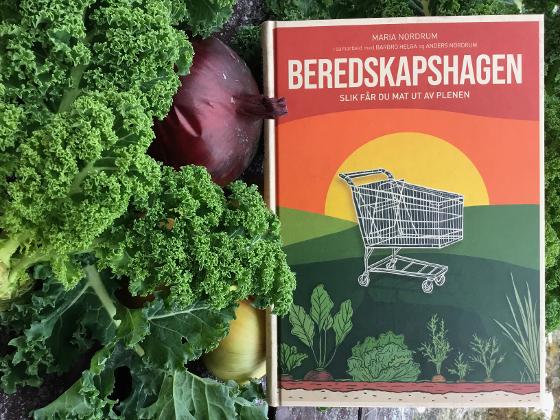 Illustrasjonsbilde for KURS | Beredskapshagen: slik får du mat ut av plenen (FULLBOOKET)