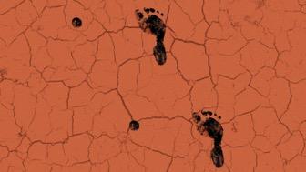 Illustrasjonsbilde for How can Indigenous knowledges uplift the health and wellbeing of people with disability?