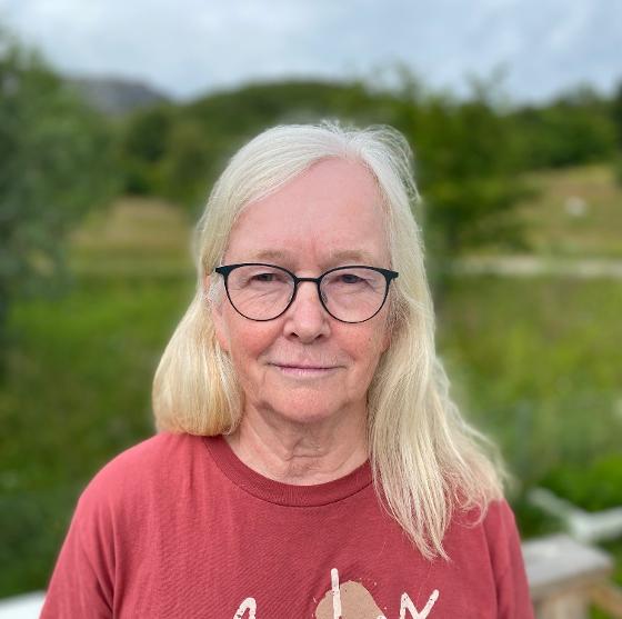 Illustrasjonsbilde for Qvigstad-forelesning: Nord-Norges immaterielle kulturarv – en ressurs for matematikkundervisningen | Arr: Academia Borealis