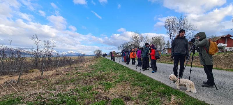 Illustrasjons-/bannerbilde for Guidet fugletur p&aring; Tisnes med BirdLife Troms&oslash;