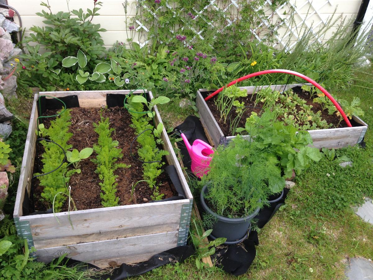 Pallekarm med planter