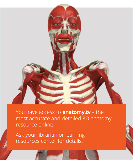 Illustrasjonsbilde for Primal Pictures presenterer... Anatomy.tv